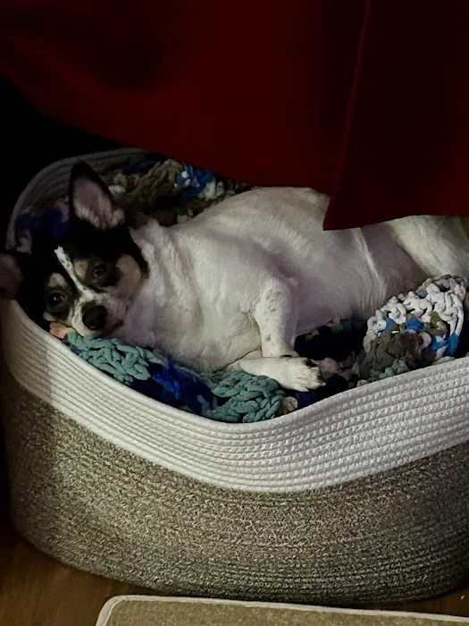 Fairview Animal Hospital Picture 3