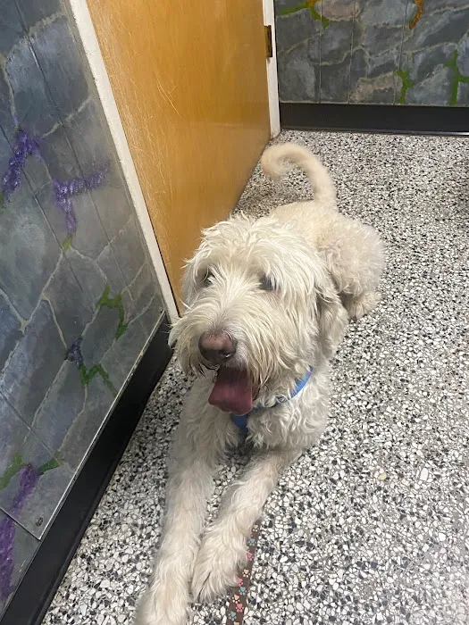 Fairview Animal Hospital Picture 5