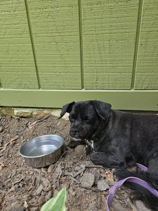 Fairview Animal Hospital Picture 9