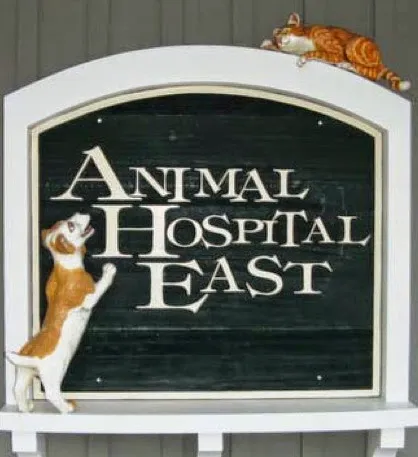 Animal Hospital East Picture 4