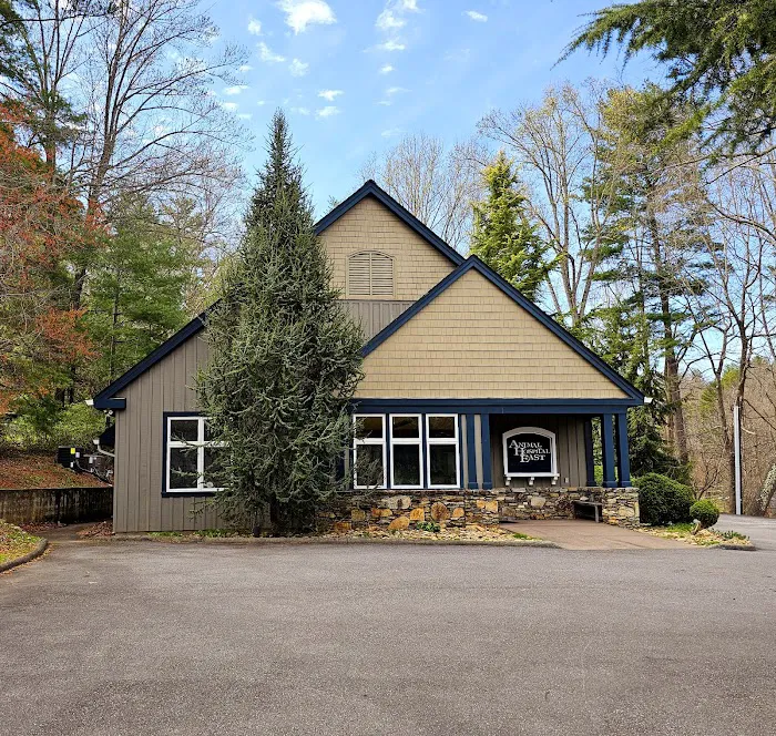 Animal Hospital East Picture 7