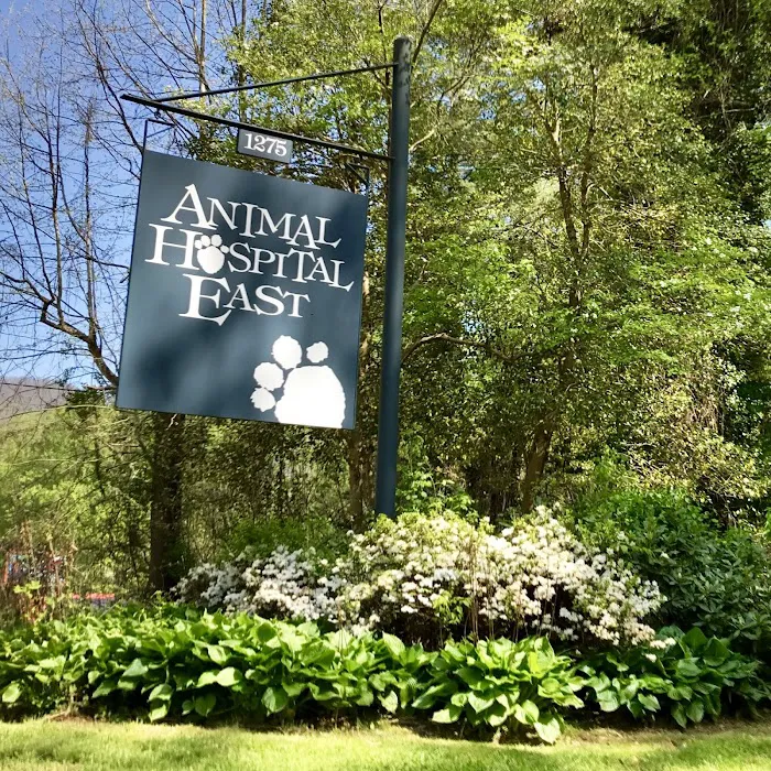 Animal Hospital East Picture 5