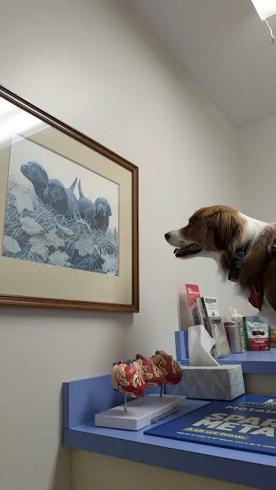 Animal Hospital East Picture 3