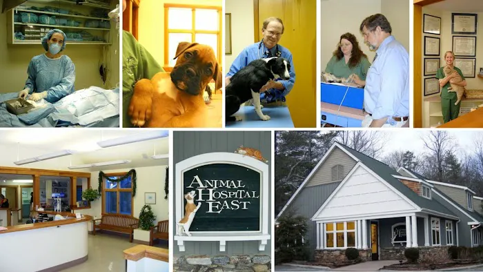 Animal Hospital East Picture 9