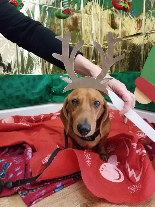 Cedar Ridge Animal Hospital Picture 9