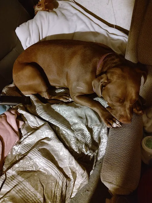 Haw Creek Animal Hospital Picture 7