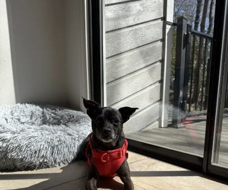 Haw Creek Animal Hospital