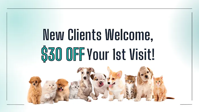 Haw Creek Animal Hospital Picture 4