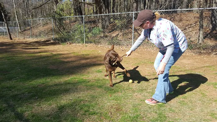 Lenoir Veterinary Hospital Picture 2