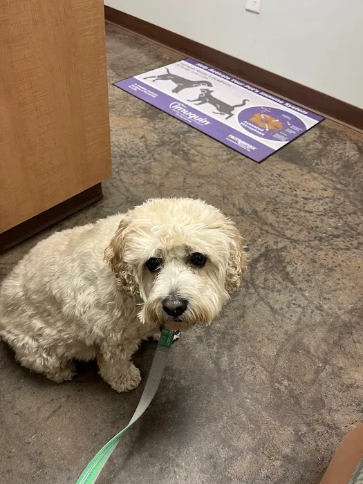 Hudson Animal Hospital Picture 4