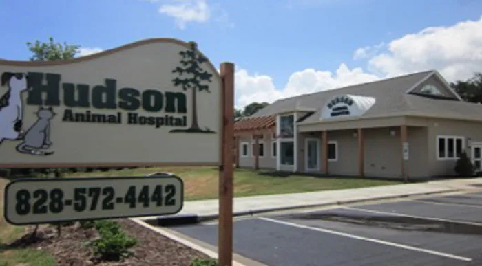 Hudson Animal Hospital Picture 10