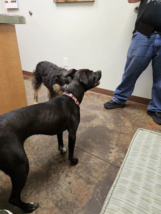 Hudson Animal Hospital Picture 5