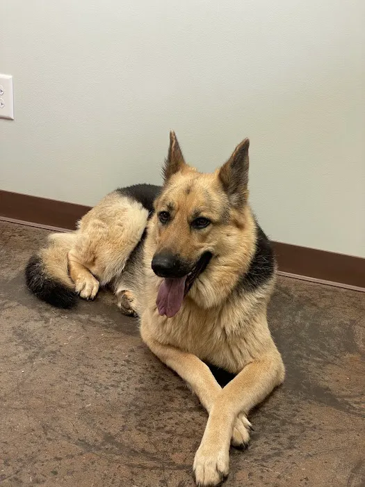 Hudson Animal Hospital Picture 3