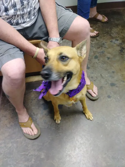 Hudson Animal Hospital Picture 1