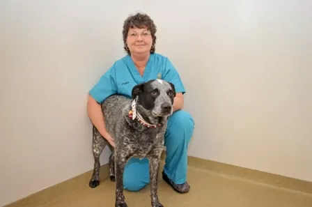 Caldwell Animal Hospital Picture 2