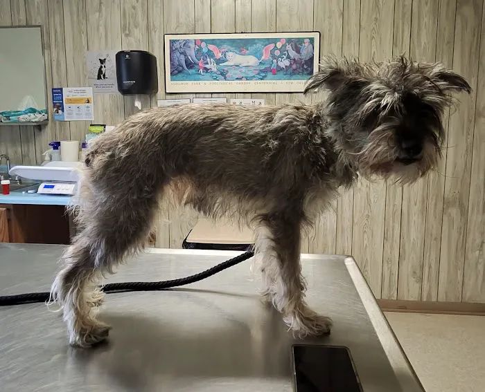 Forest City Animal Hospital Picture 10