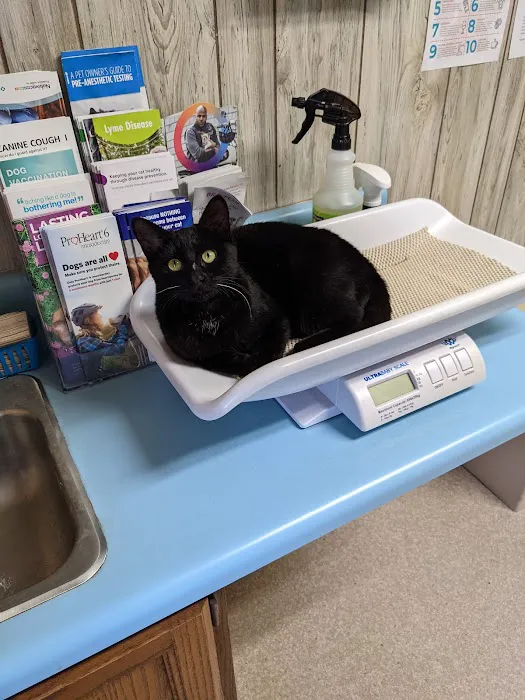 Forest City Animal Hospital Picture 2