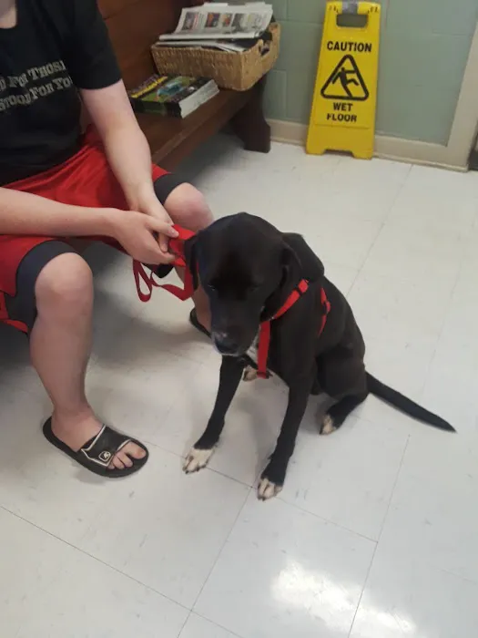 Forest City Animal Hospital Picture 1