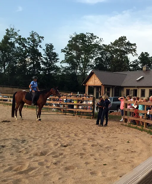Tryon Equine Hospital Picture 6