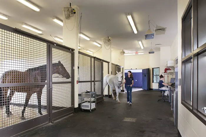 Tryon Equine Hospital Picture 9