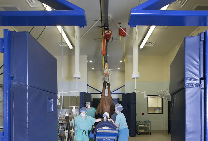 Tryon Equine Hospital Picture 3
