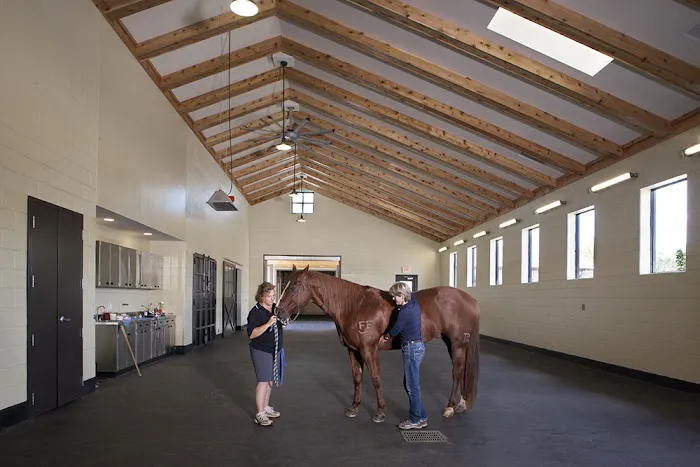Tryon Equine Hospital Picture 10