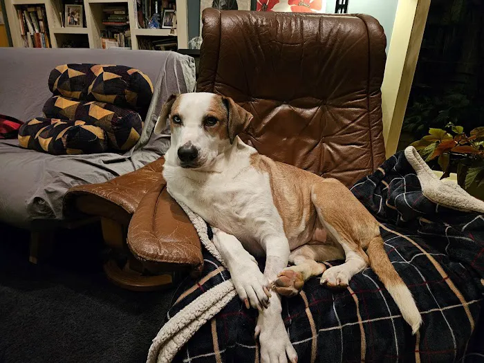 Bonnie Brae Veterinary Hospital Picture 3