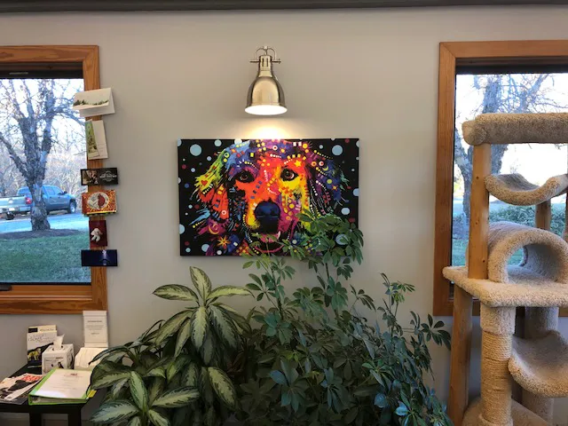 Bonnie Brae Veterinary Hospital Picture 4