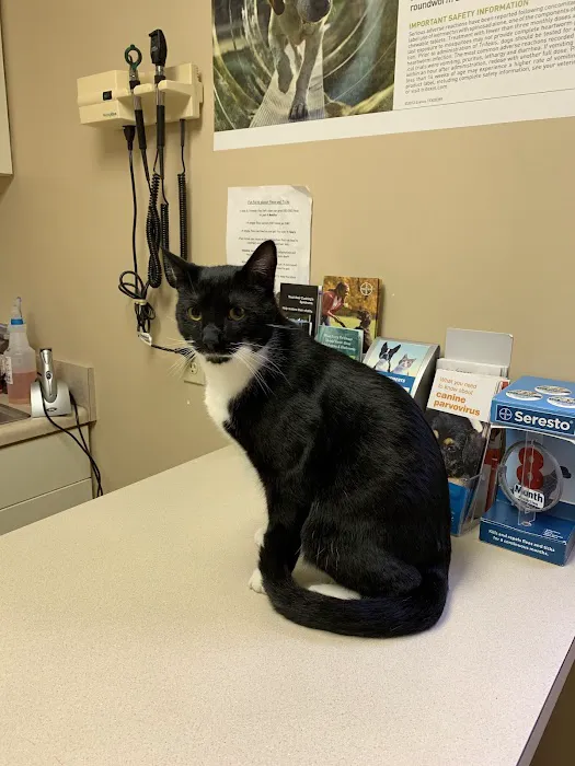 Family Pet Veterinary Hospital Picture 2