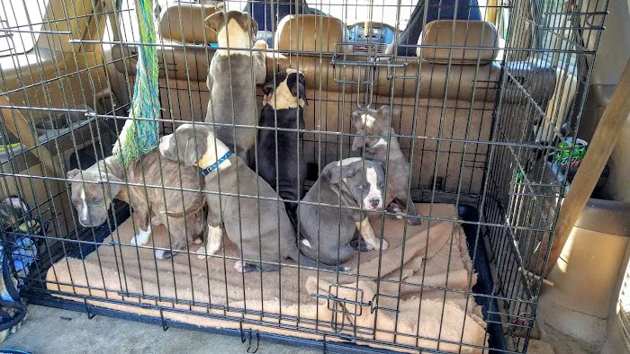 Family Pet Veterinary Hospital Picture 7