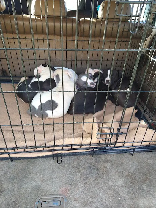 Family Pet Veterinary Hospital Picture 9
