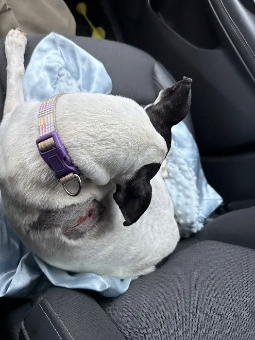 Family Pet Veterinary Hospital Picture 4