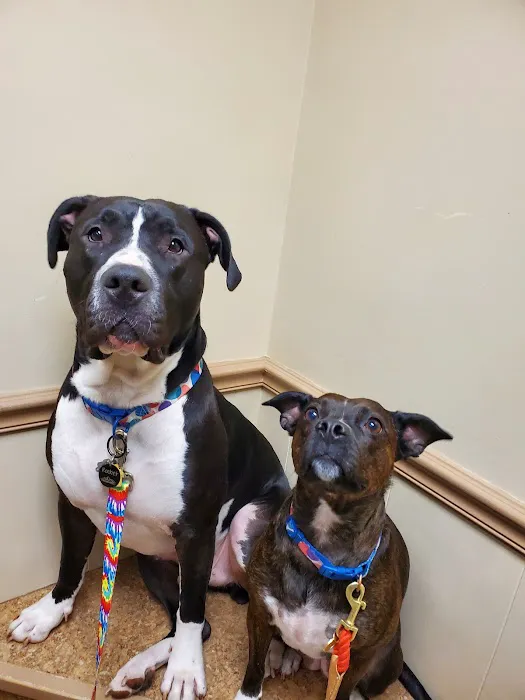 Jones Animal Hospital Picture 7