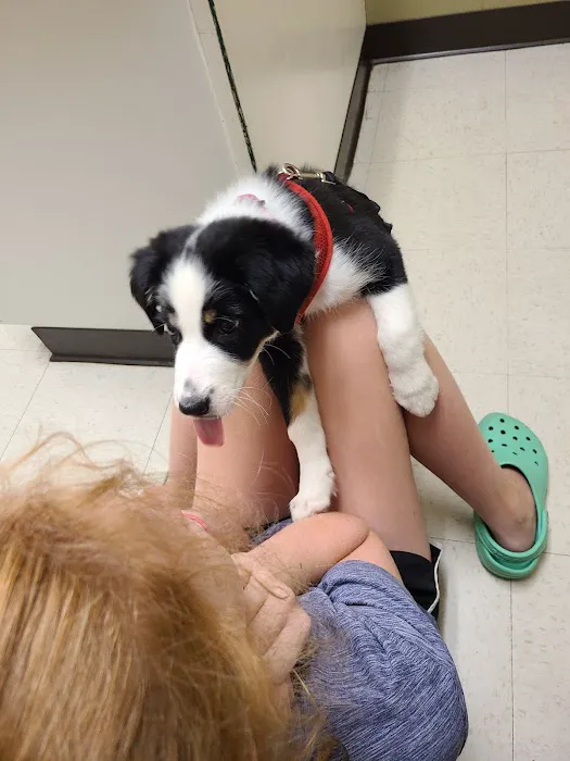 Jones Animal Hospital Picture 3