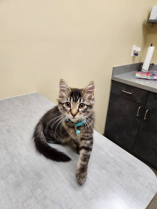 Jones Animal Hospital Picture 6