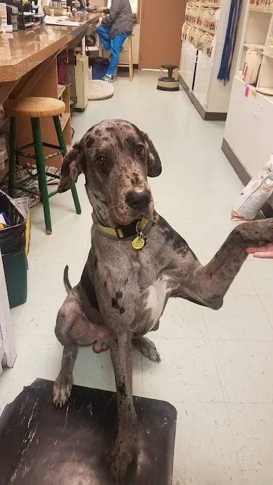 Jones Animal Hospital Picture 5