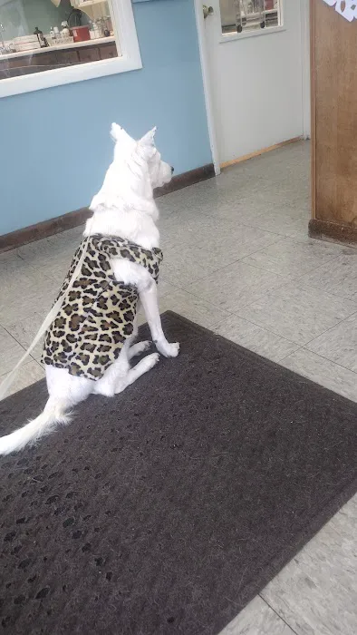 Animal Medical Clinic Picture 1