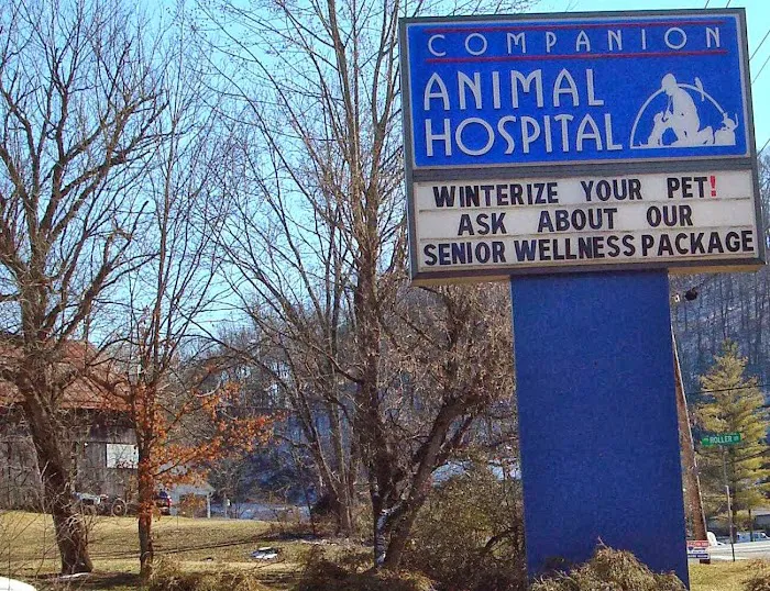 Companion Animal Hospital Picture 10