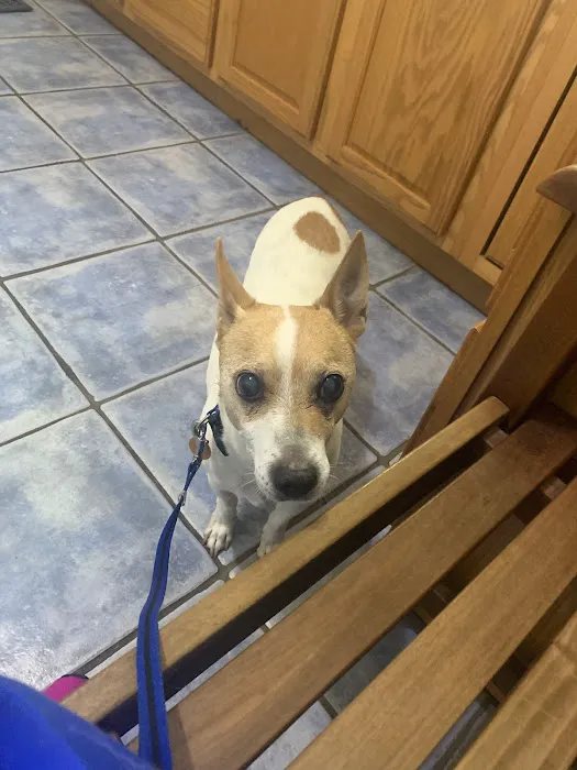 Cherry Point Animal Hospital Picture 3