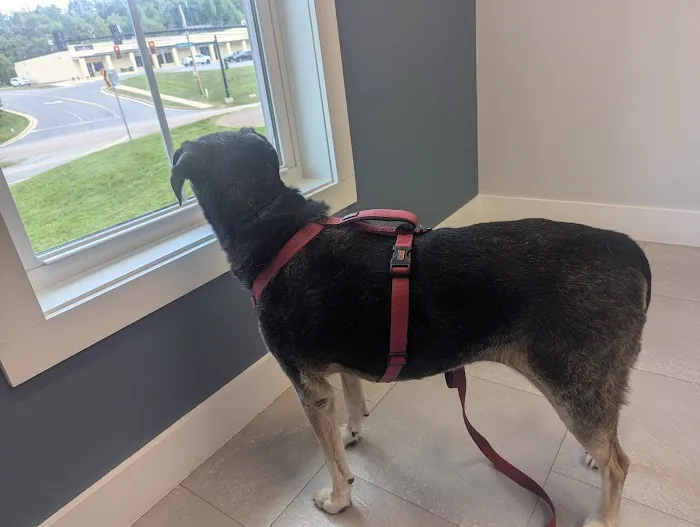 Cherry Point Animal Hospital Picture 1