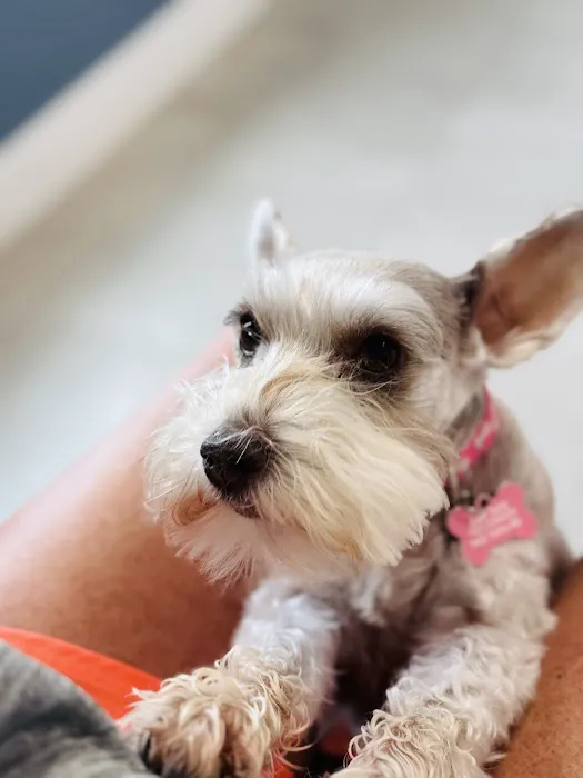 Cherry Point Animal Hospital Picture 5