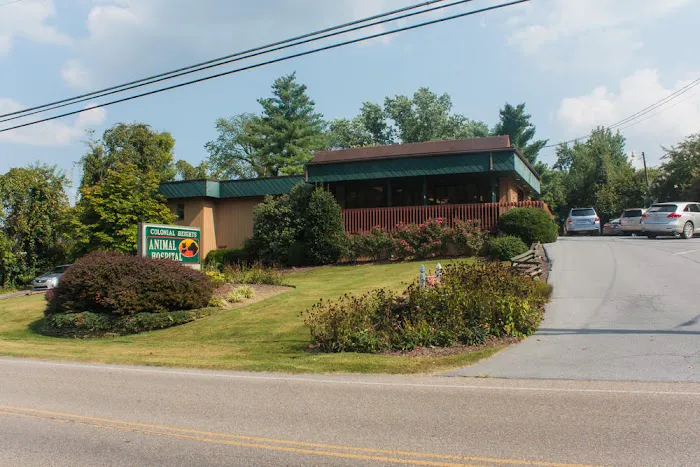 Colonial Heights Animal Hospital Picture 9