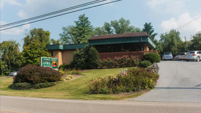 Colonial Heights Animal Hospital Picture 10