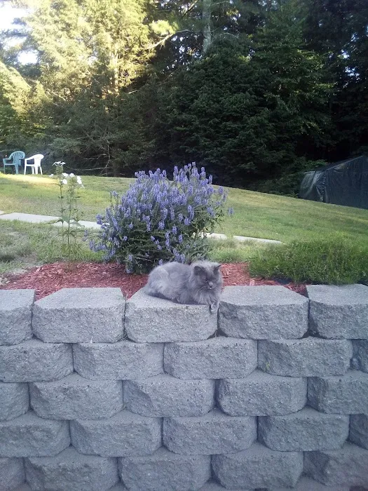 East Tennessee Veterinary Hospital @ Gray Picture 10