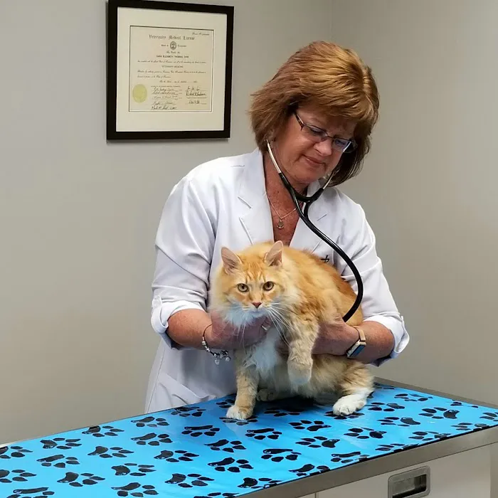 Fort Henry Animal Hospital Picture 9