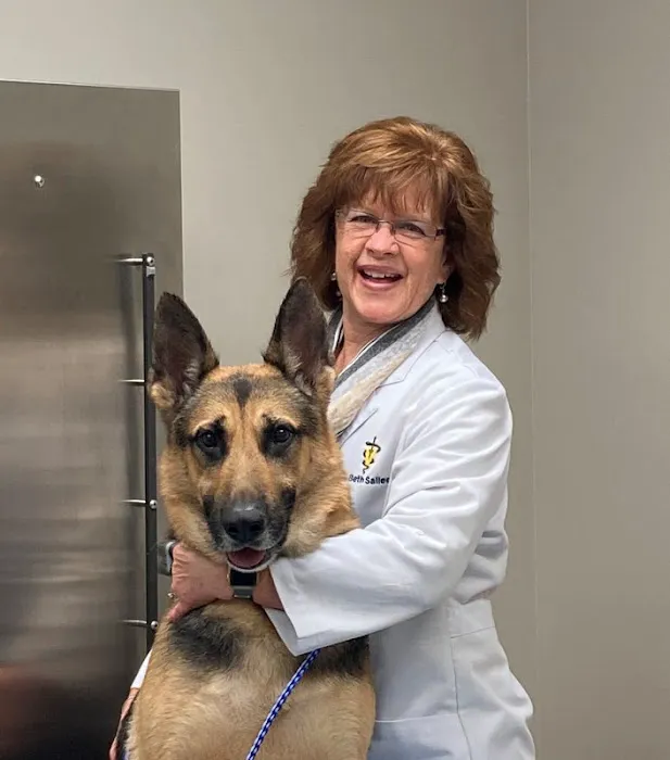 Fort Henry Animal Hospital Picture 2
