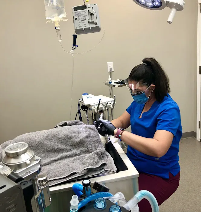 Fort Henry Animal Hospital Picture 6