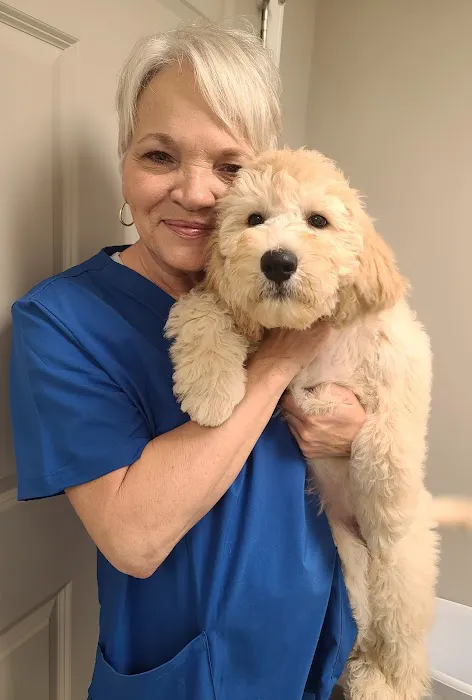 Fort Henry Animal Hospital Picture 10