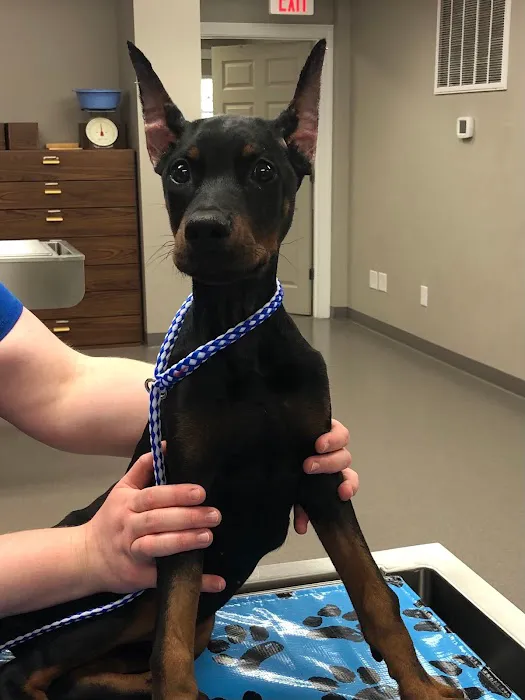 Fort Henry Animal Hospital Picture 4