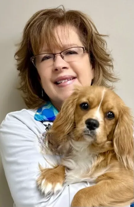 Fort Henry Animal Hospital Picture 8